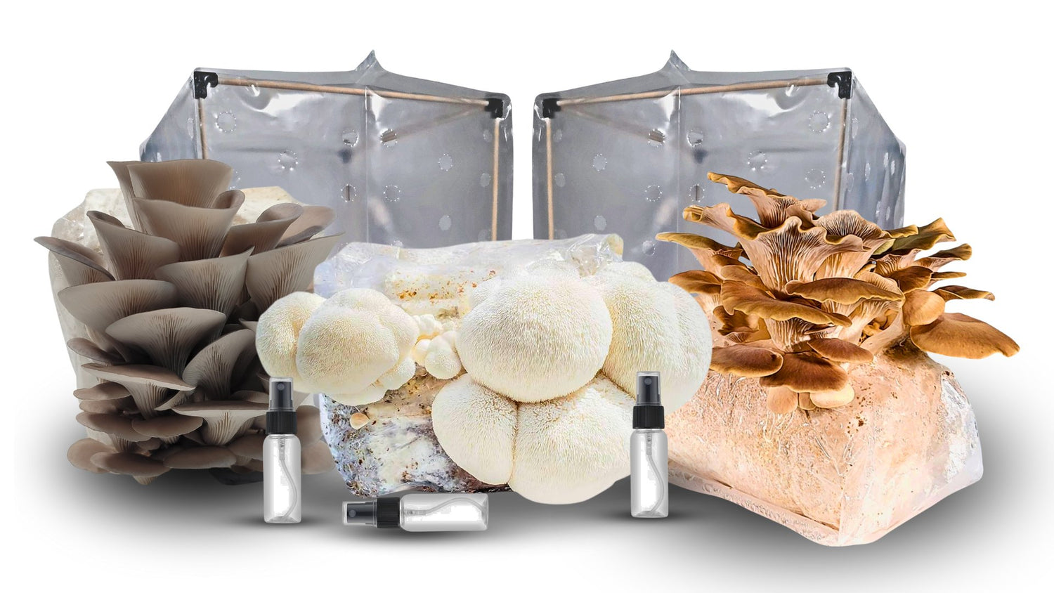 Mushroom Grow Kits