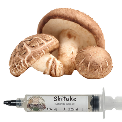 Shiitake Liquid Culture Syringe