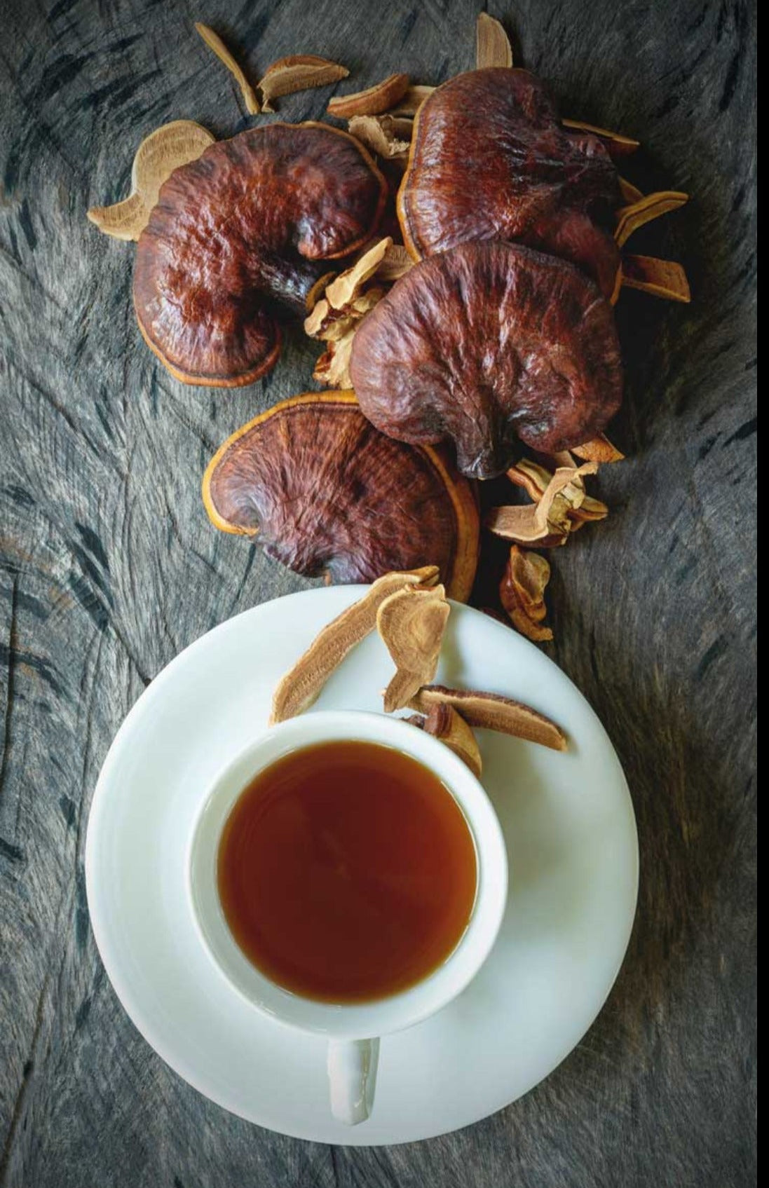 Reishi Mushroom Tea